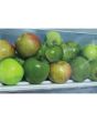 Hotpoint SH8A2QGRD 60cm Tall Larder Fridge - Graphite